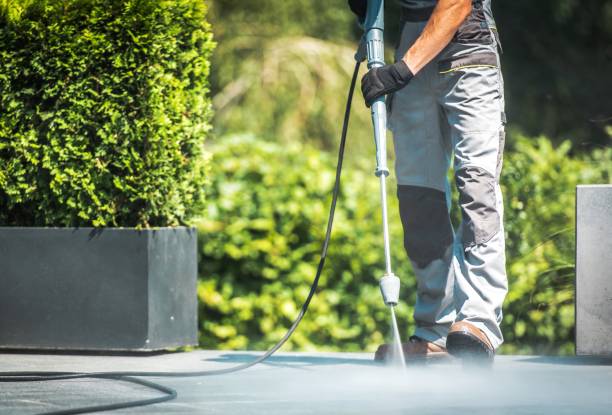 Best Rust Removal  in Willard, MO