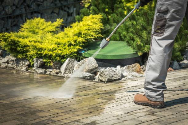 Best Solar Panel Cleaning  in Willard, MO