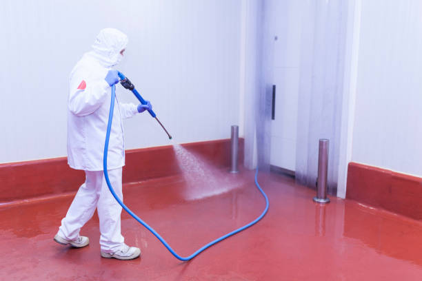 Best Driveway Pressure Washing  in Willard, MO