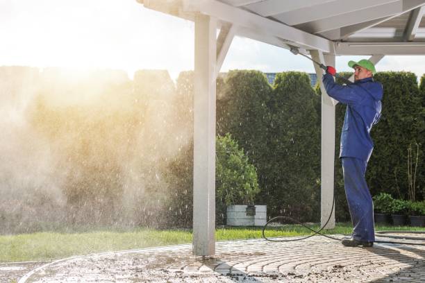 Best Pre-Holiday Cleaning  in Willard, MO