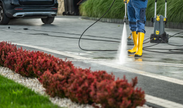 Trusted Willard, MO Pressure Washing Services Experts